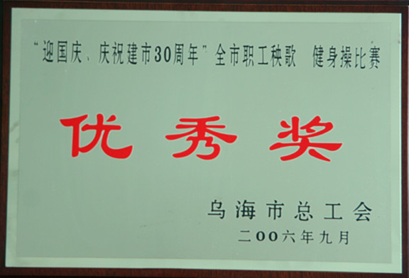 2006年慶祝建市三烏海市十周年全市職工秧歌健身操比賽優秀獎